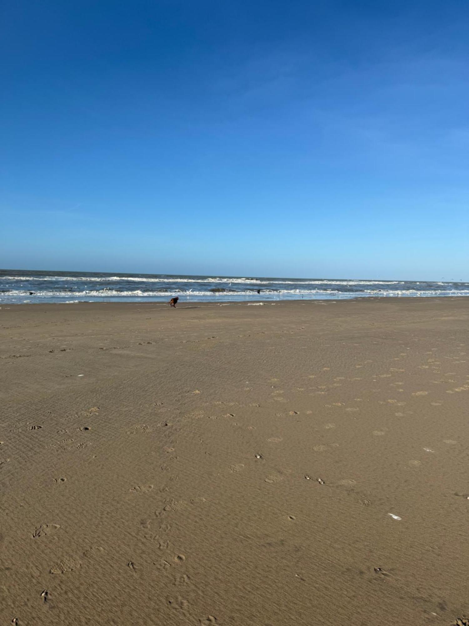 Guesthouse West Noordwijk Dış mekan fotoğraf