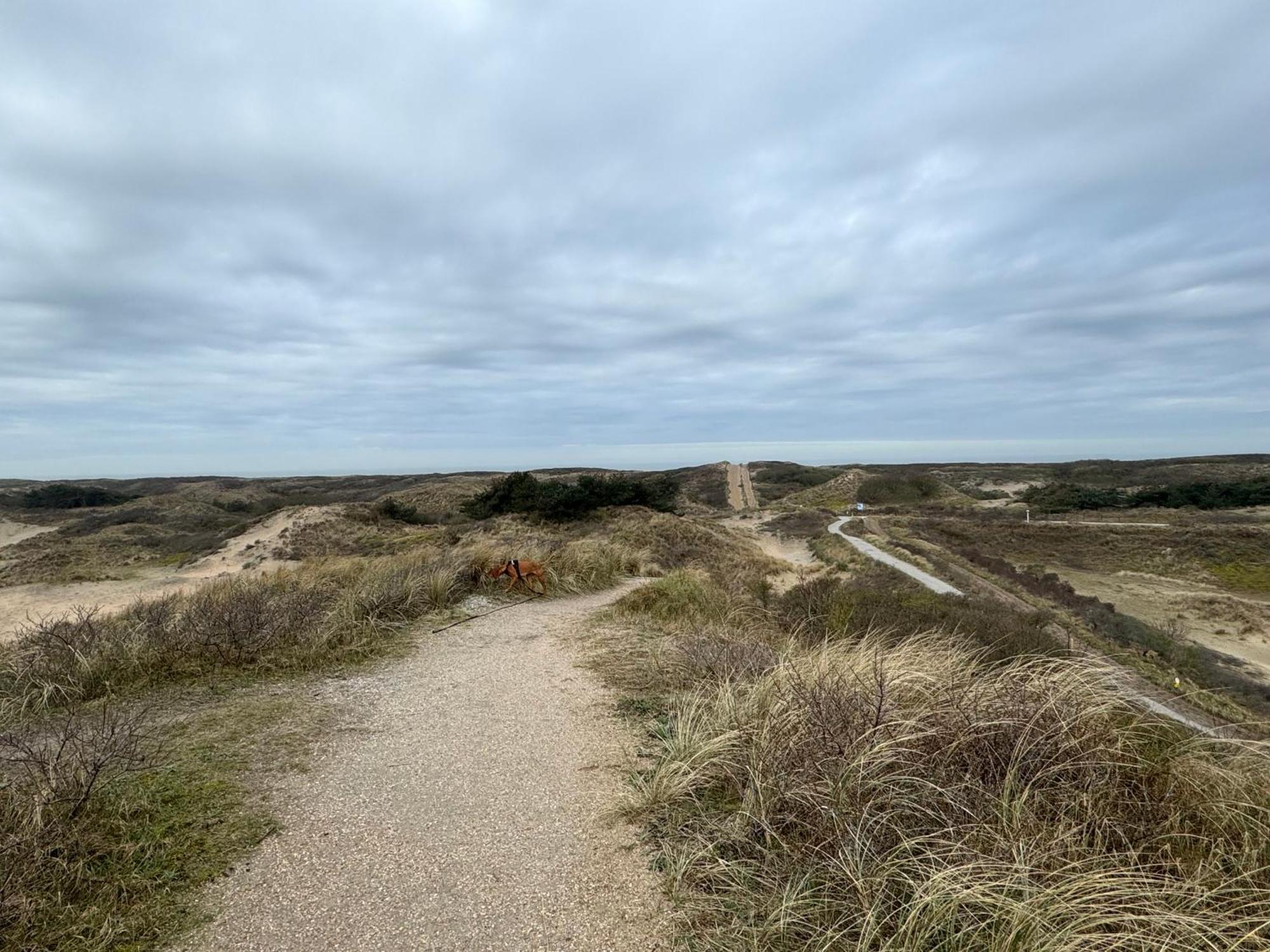 Guesthouse West Noordwijk Dış mekan fotoğraf
