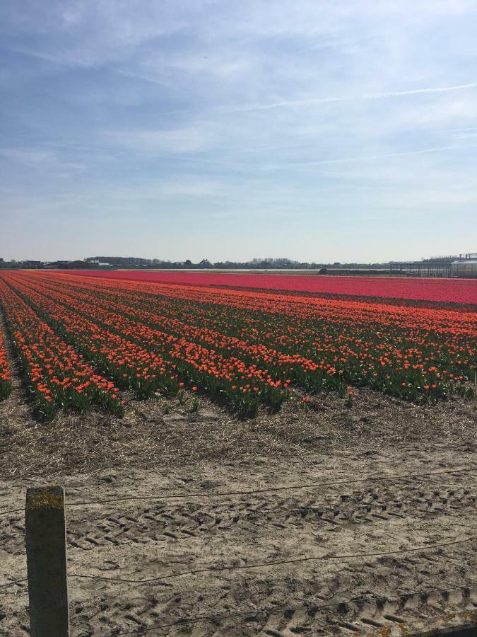Guesthouse West Noordwijk Dış mekan fotoğraf